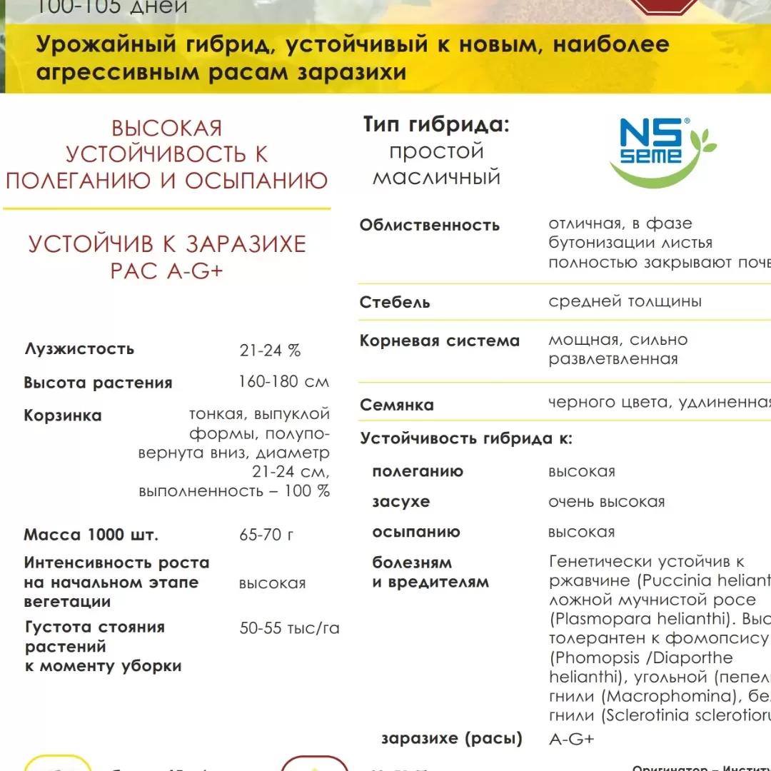 ООО БлагоДар реализует оригинальные семена подсолнечника и кукурузы сербской