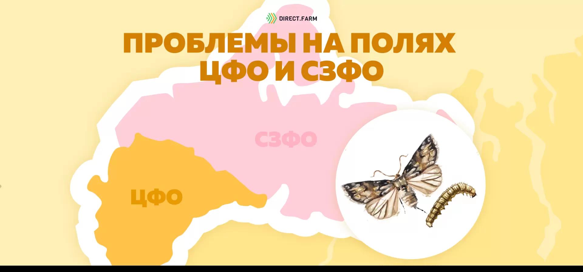 Угроза: Подгрызающие совки