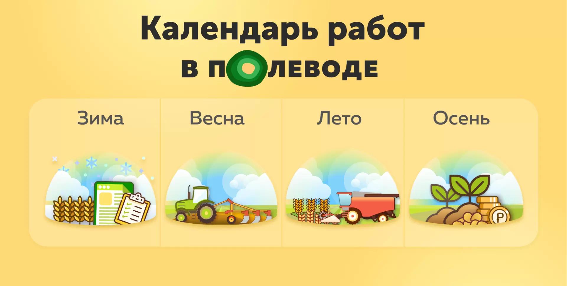 📝 В какие этапы полевод помогает работе предприятия?