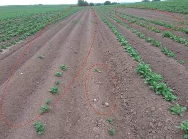 Здесь все, что нужно знать об RTK