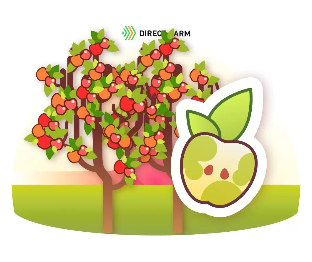 Стекловидность плодов яблони и методы ее преодоления