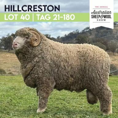 Австралийская выставка овец и шерсти