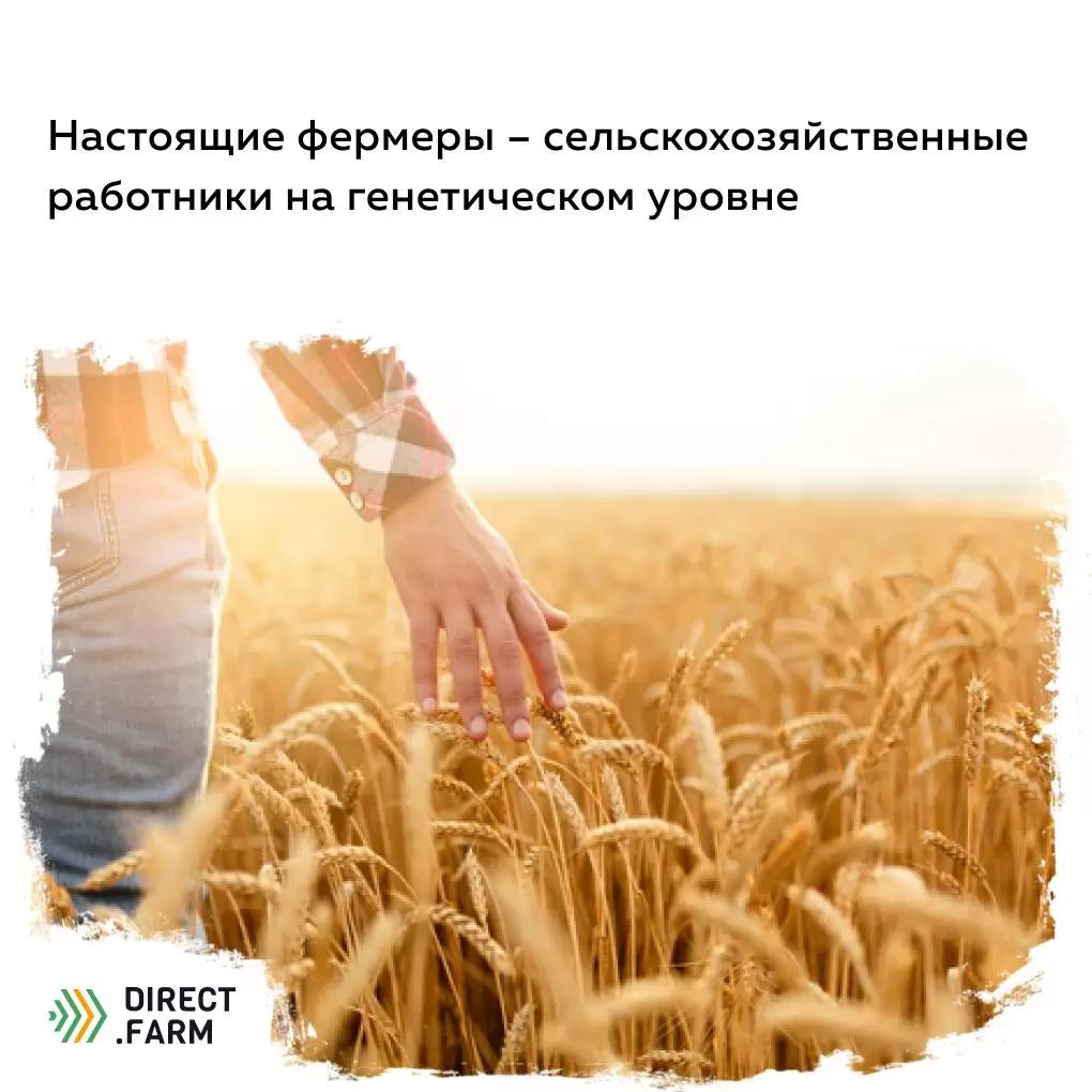 Про настоящих фермеров