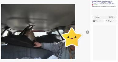 Изъятие скота: защита от эпидемий или удар по хозяйству?