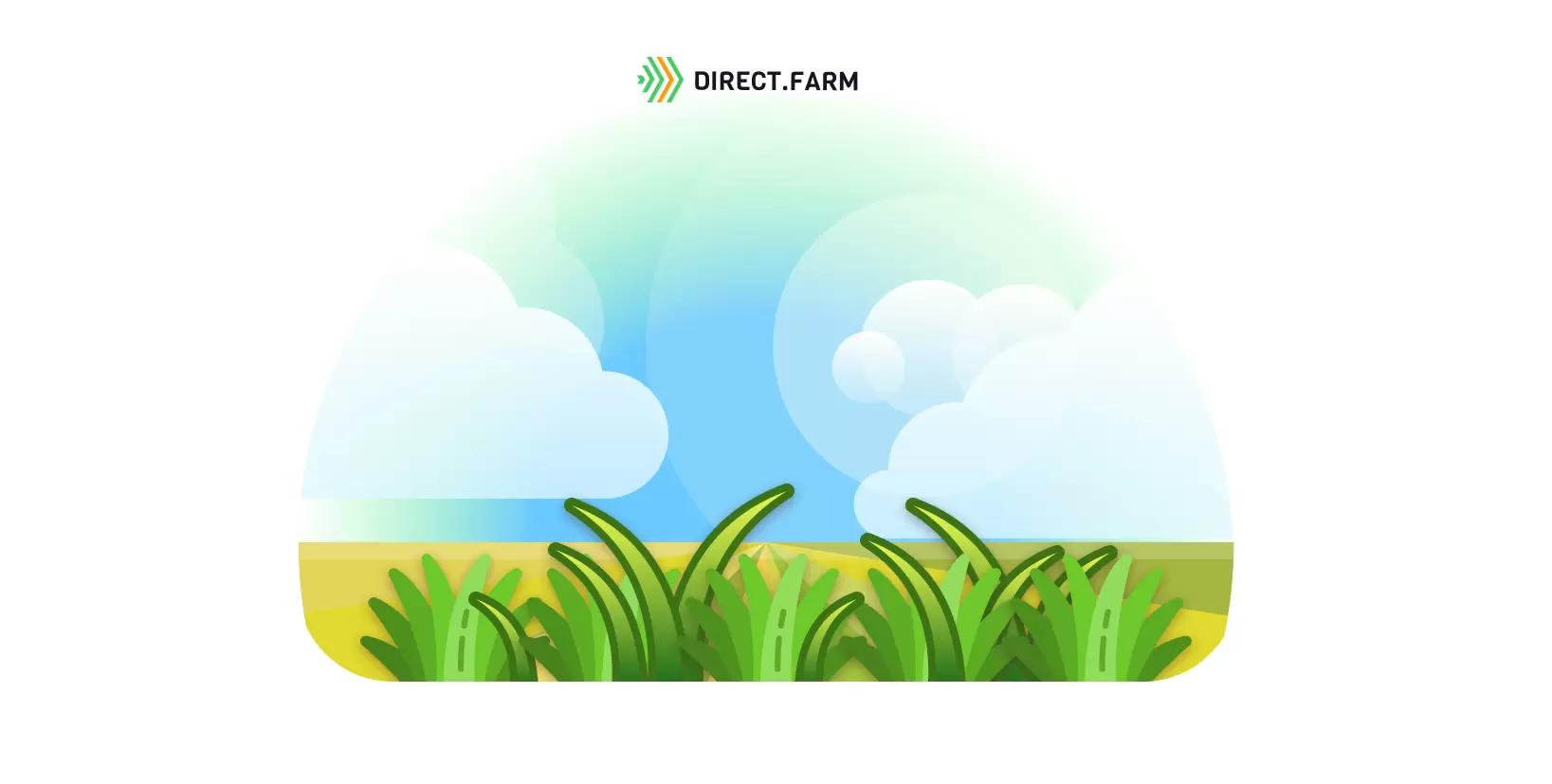 Падалица ячменя