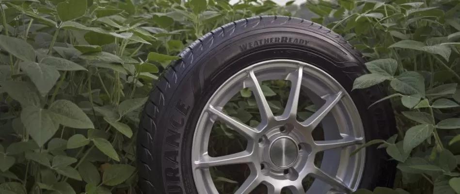Goodyear будет использовать соевое масло во всех шинах к 2040 году