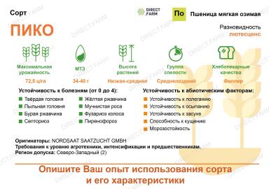Пико сорт мягкой озимой пшеницы