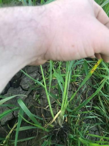 Вопросы из чатов: что за болезнь?