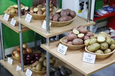 Передовые агротехнологии на выставке Potato Horti AgriTech: Обзор события