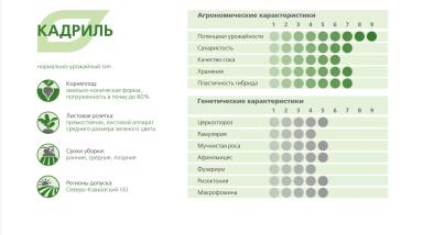 КАДРИЛЬ