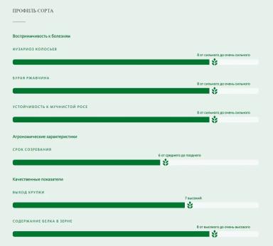 Тессадур (TESSADUR) сорт яровой твердой пшеницы