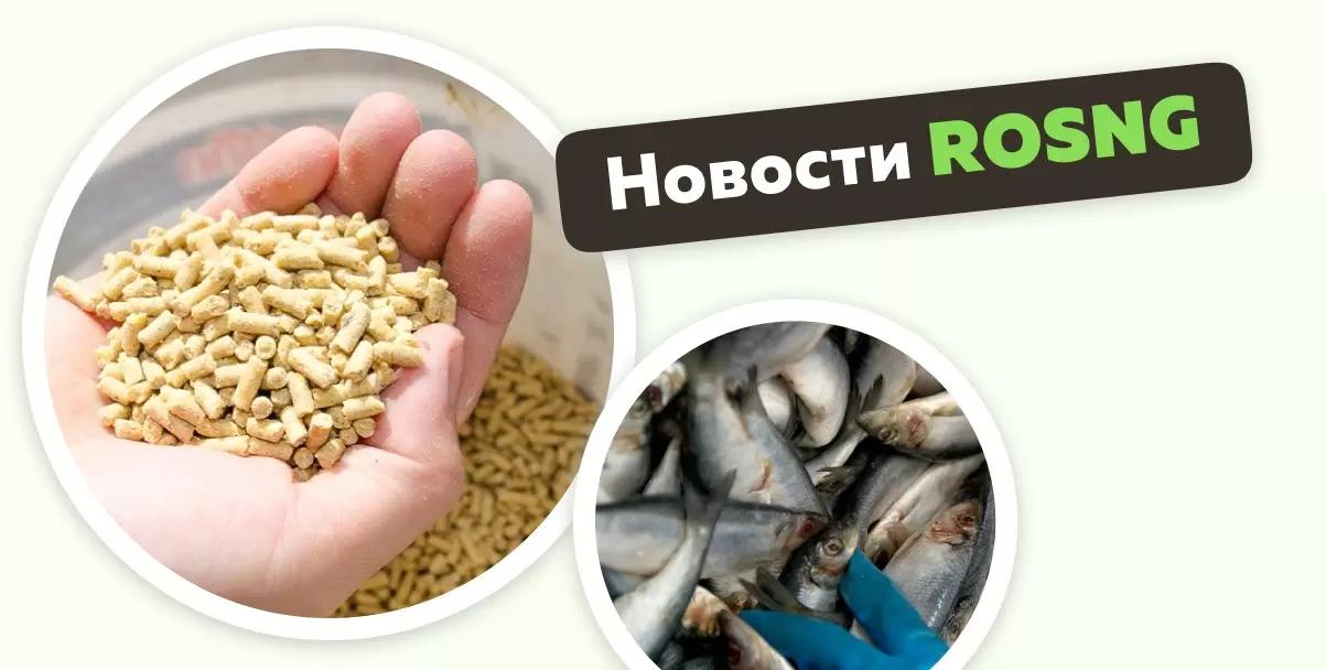 Обзор новостей за 25 апреля