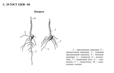 ГОСТ 12038-84 Всхожесть методы определения