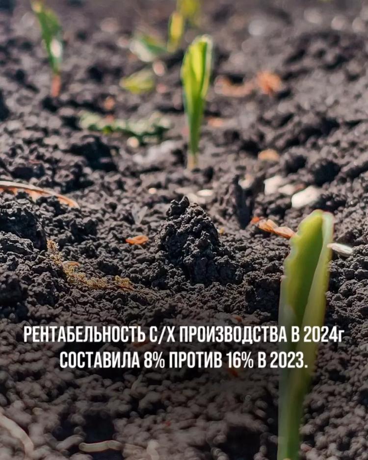 РЕНТАБЕЛЬНОСТЬ СЕЛЬСКОХОЗ. ПРОИЗВОДСТВА В 2024г СОСТАВИЛА 8% ПРОТИВ 16% В 2023.