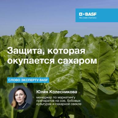 Защита, которая окупается сахаром