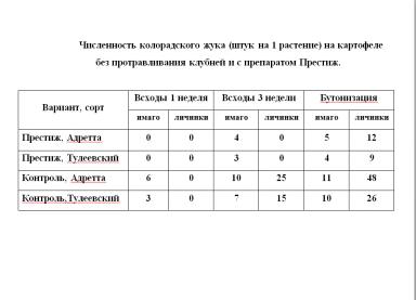 Инсектицидный протравитель против колорадского жука. Срок защитного действия.
