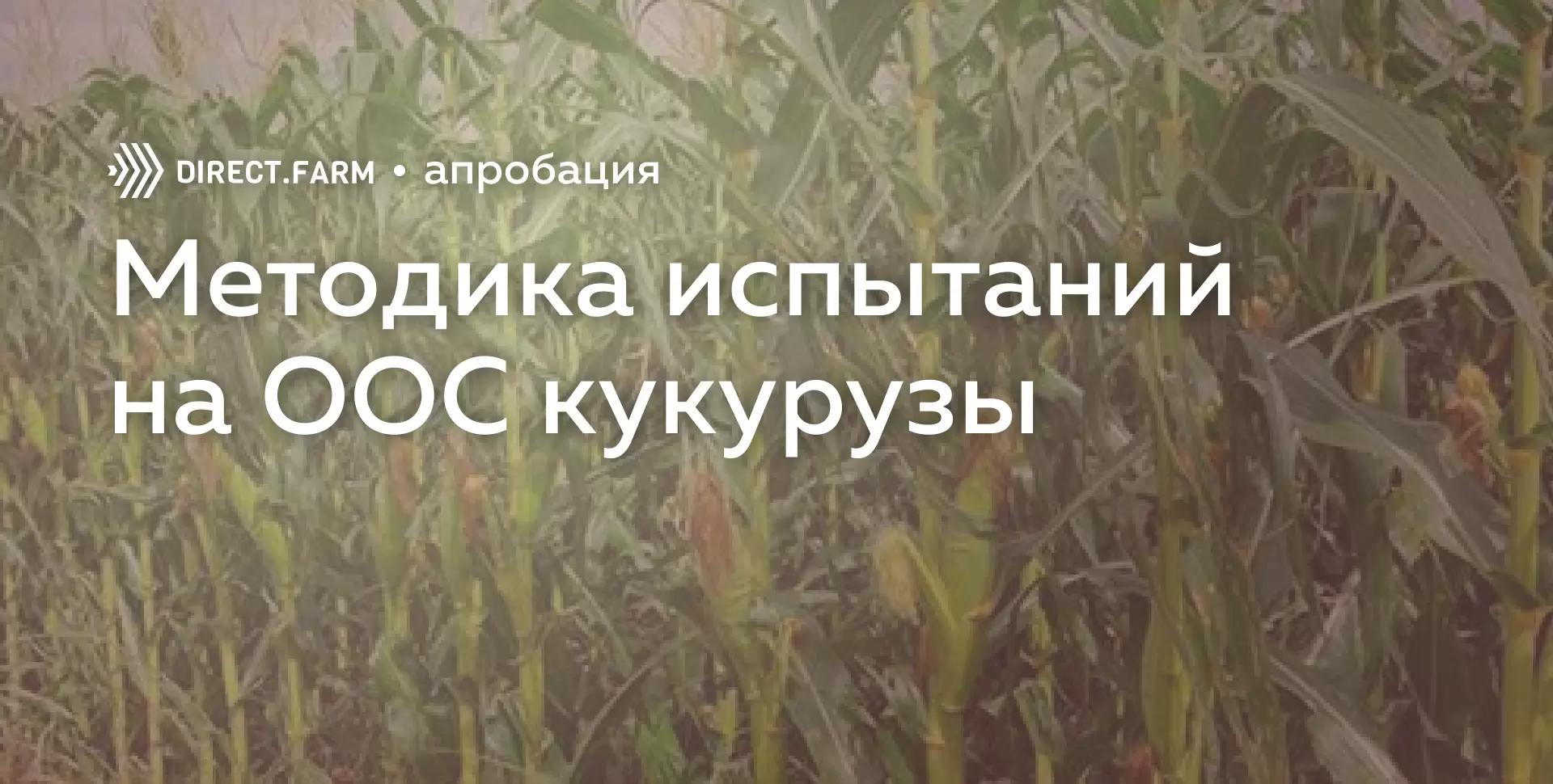 Методика испытания на отличимость, однородность и стабильность кукурузы