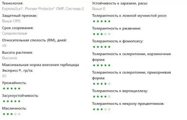 П 64 ЛЕ 99 - гибрид подсолнечника Пионер