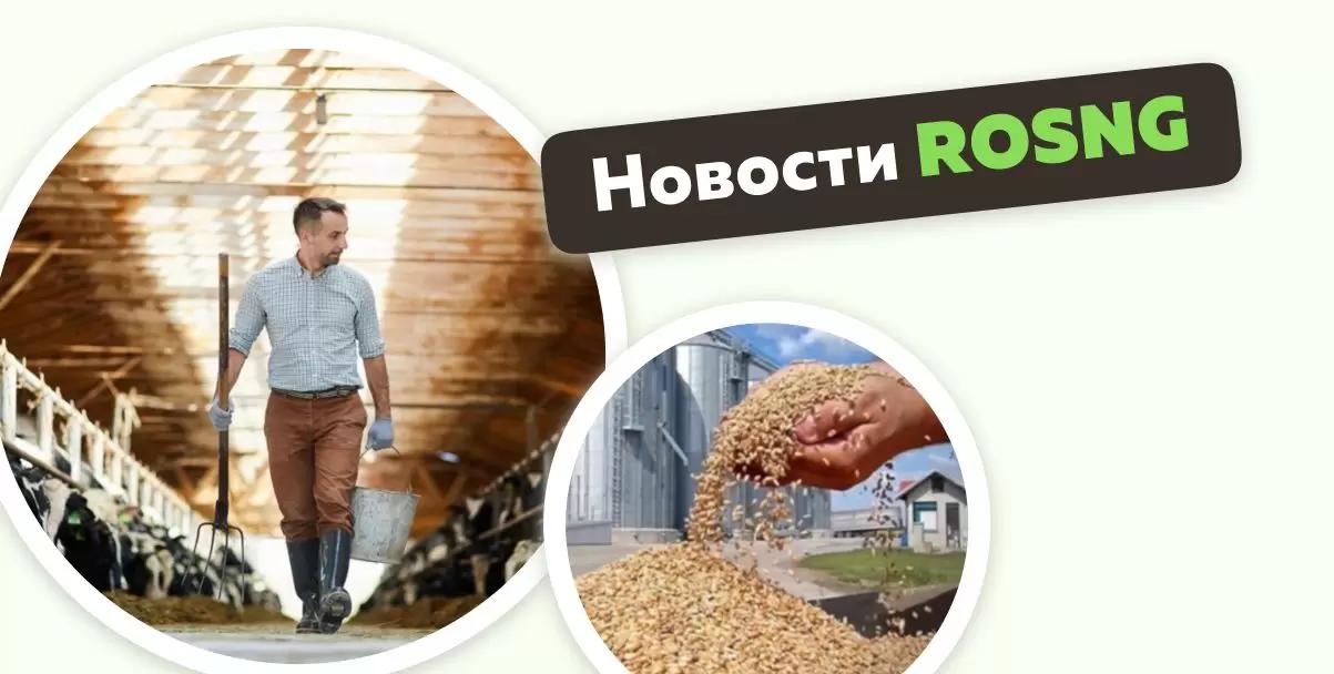 Обзор новостей за 6 октября