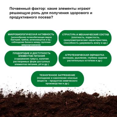 Обыкновенная корневая гниль: роль почвы