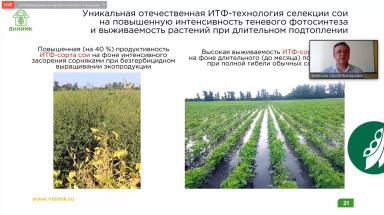 Селекция и семеноводство выращивания сои в РФ