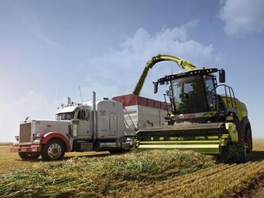 4096 тонн за 12 часов — новый мировой рекорд от CLAAS!