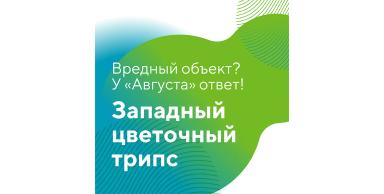 «Вредный объект? У «Августа» ответ!»