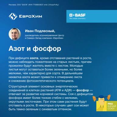 PROкачай сою! Признаки дефицита элементов питания при возделывании сои