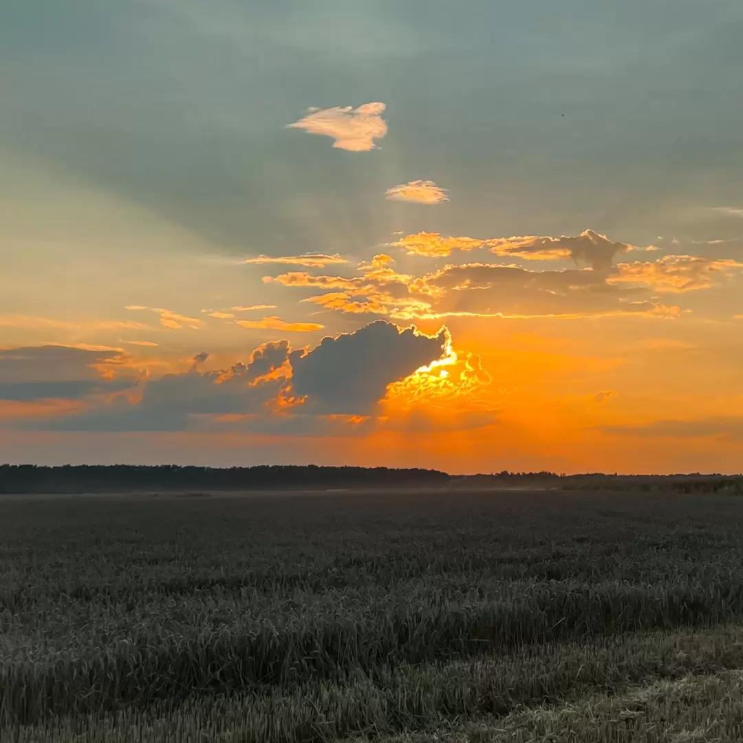 ЗАТРАТЫ НА  1 ГА ПШЕНИЦЫ И КУКУРУЗЫ В 2023г. В ЧЕРНОЗЕМЬЕ.