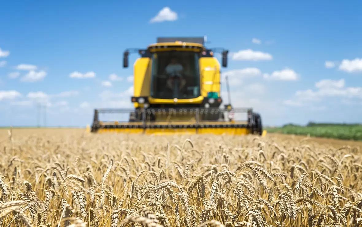 Фермеры Тюмени стали чаще подделывать документы на зерно