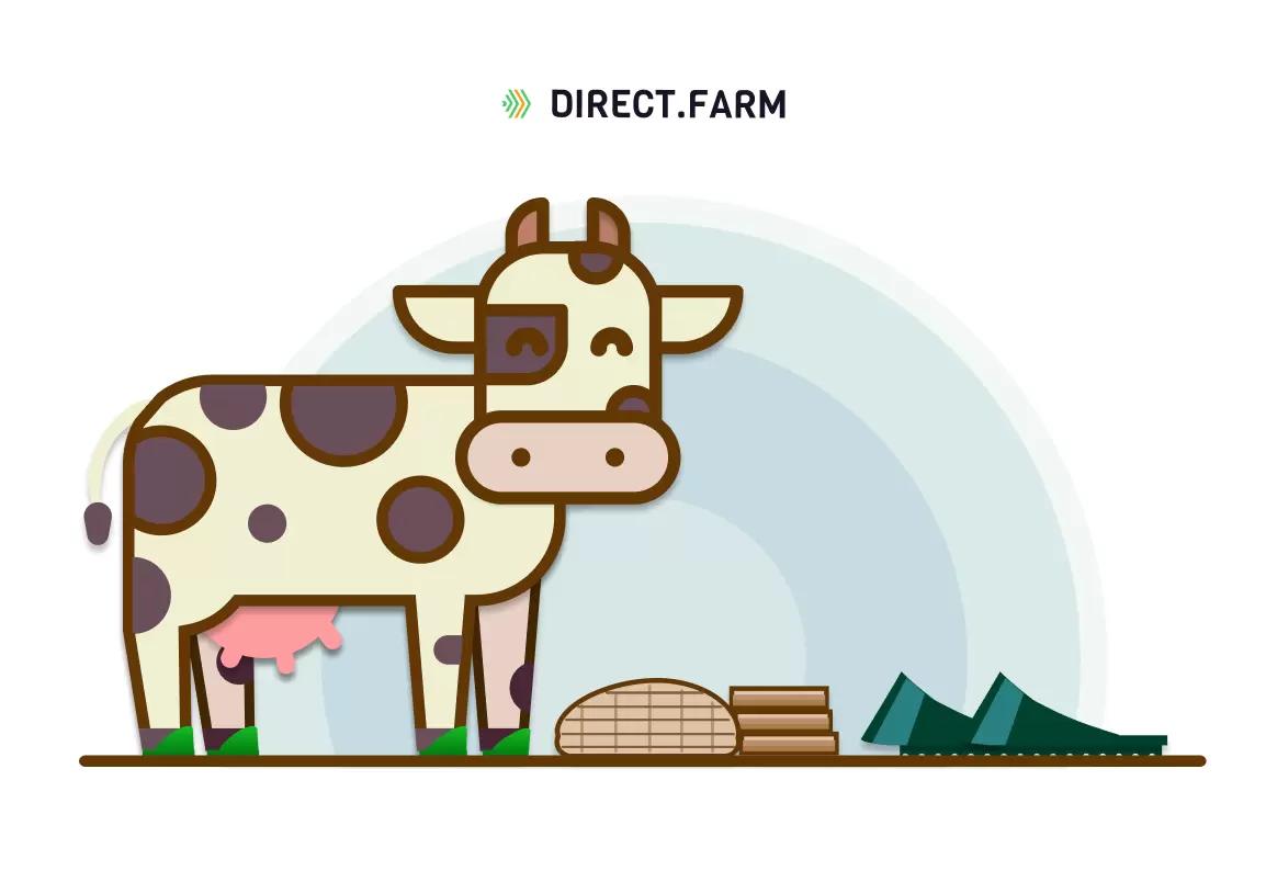 Накладки для копыт