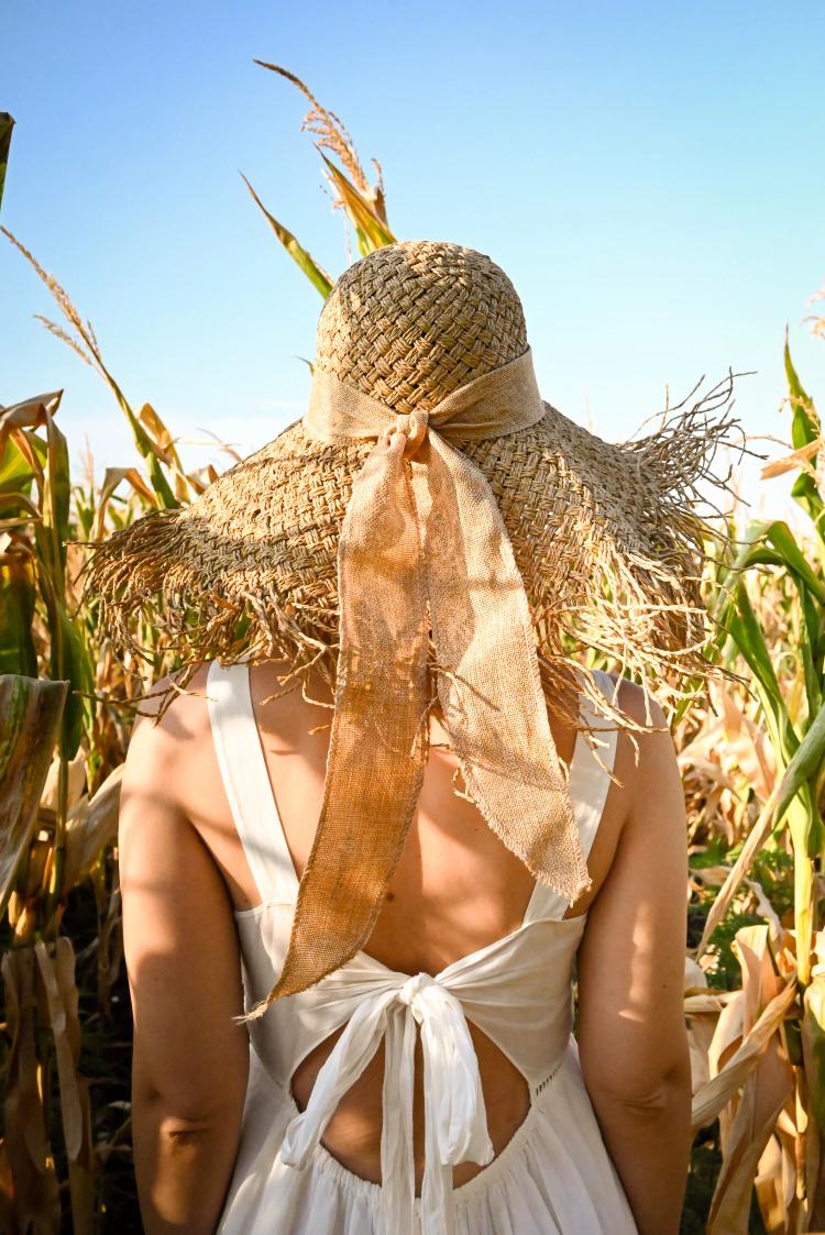 На земле все просто. Сеешь — растет. Заботишься — приносит. И так же с