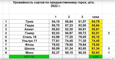 Подбор сортов озимой пшеницы по мнению практиков