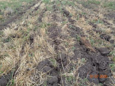 Щелеватель почвы ПБС-8х70Щ.