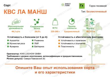 КВС Ла Манш сорт гороха посевного