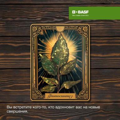 Что ожидает вас в 2026?