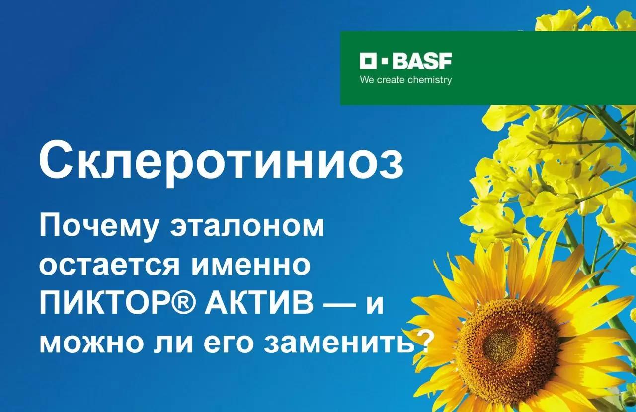 Можно ли заменить ПИКТОР® АКТИВ?