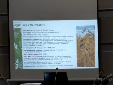 ОАК Пруденс (OAC PRUDENCE) соя Эко Нива семена