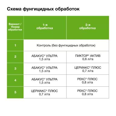 Доказано в поле
