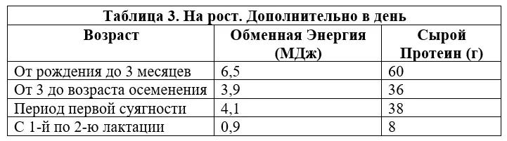 Правильное кормление молочных овец