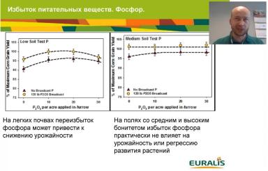Особенности применения удобрений при возделывании кукурузы