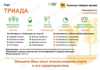 Триада сорт пшеницы твердой яровой