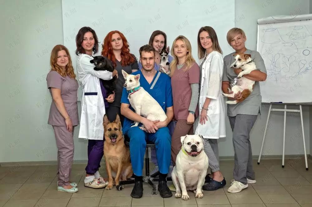 Наш дружный коллектив, который работает и лечит наших четвероногих друзей.