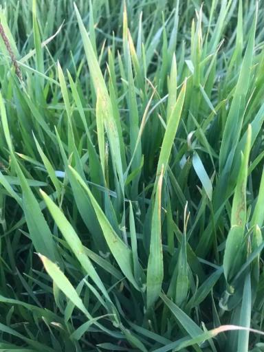 Вопросы из чатов: что за болезнь?