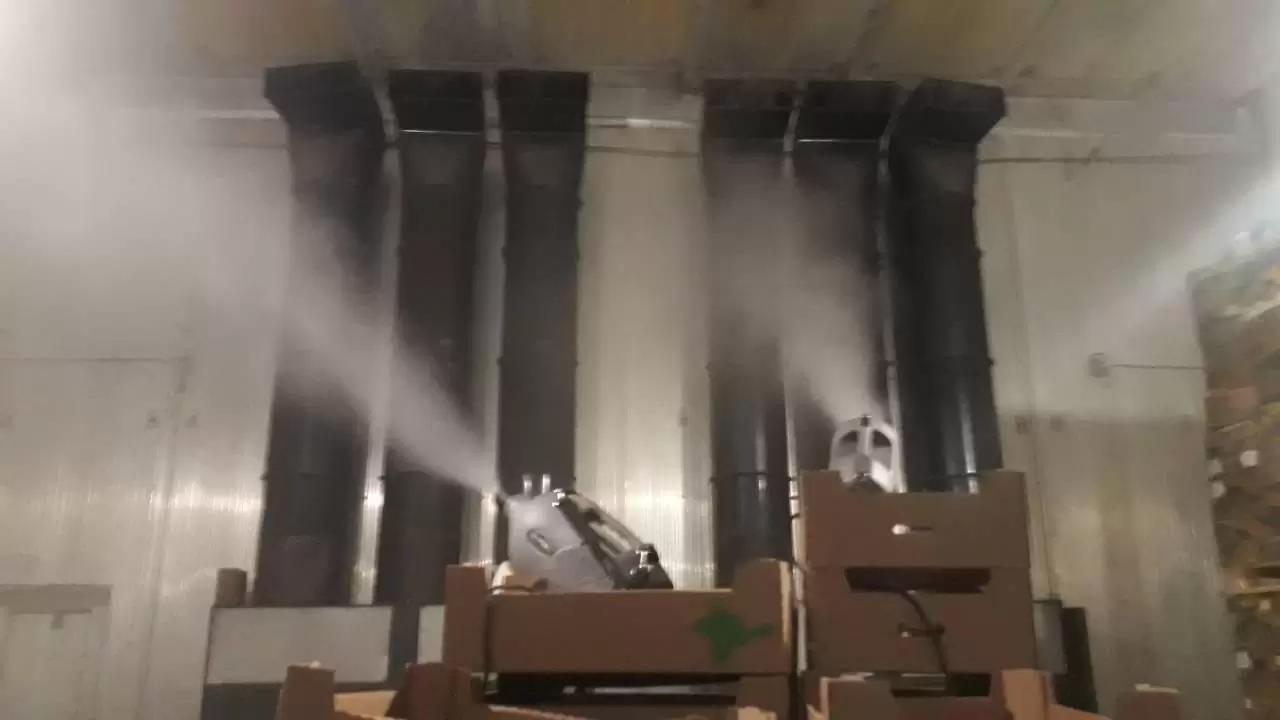 Фунгицидное обеззараживание помещений