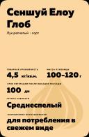 Сеншуй Елоу Глоб (SENSHYU YELLOW GLOBE)