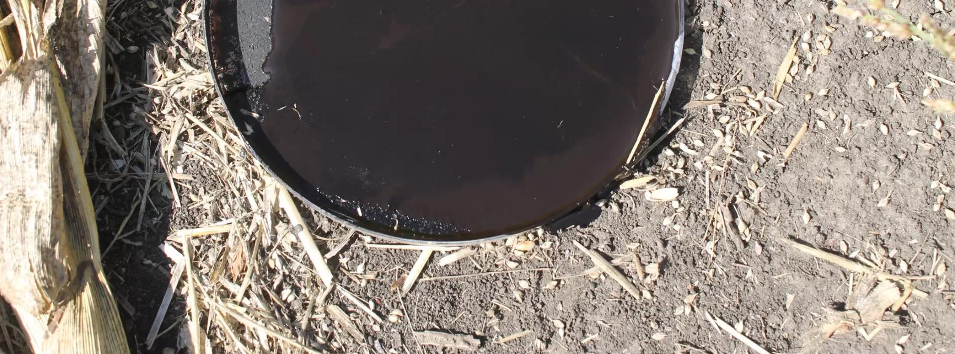 Оценка здоровья почв по гумусированности и составу органического вещества