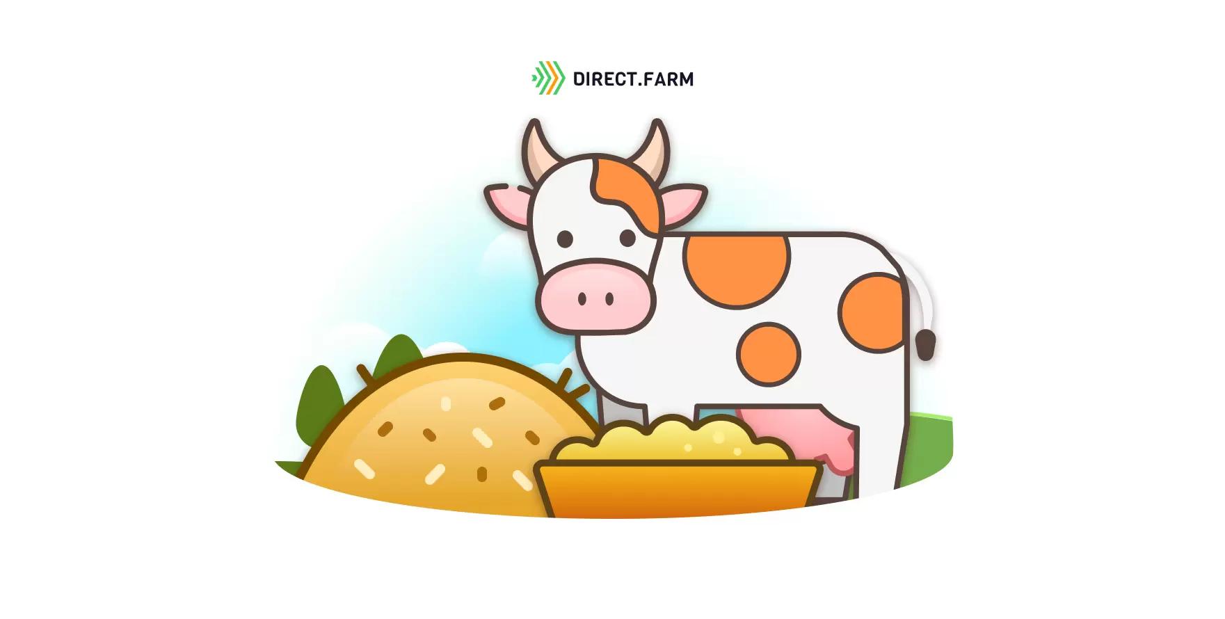 Ячменная солома в рационе КРС