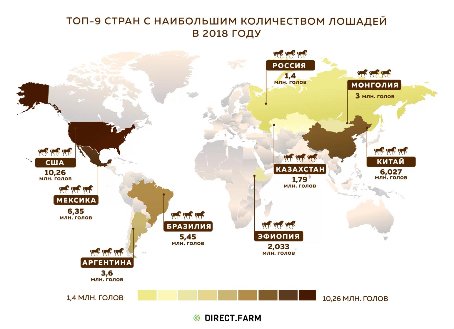 Страны с наибольшим количеством лошадей