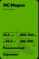 НС Мороз сорт гороха зимующего